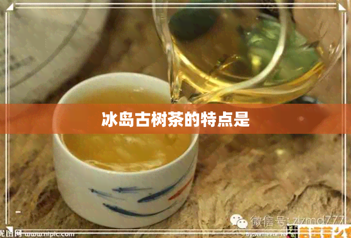 冰岛古树茶的特点是