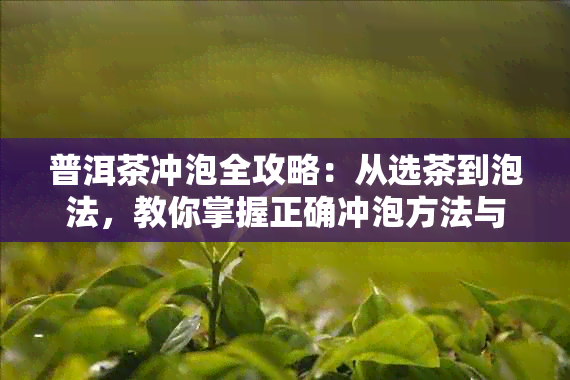 普洱茶冲泡全攻略：从选茶到泡法，教你掌握正确冲泡方法与技巧