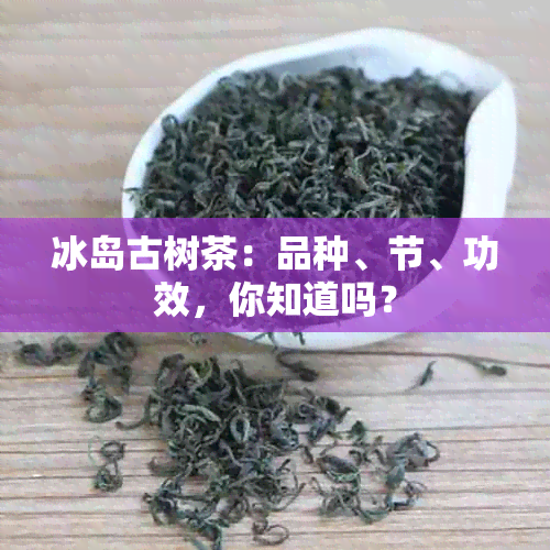 冰岛古树茶：品种、节、功效，你知道吗？