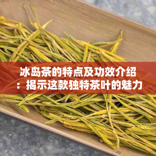 冰岛茶的特点及功效介绍：揭示这款独特茶叶的魅力与健益处