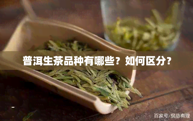 普洱生茶品种有哪些？如何区分？