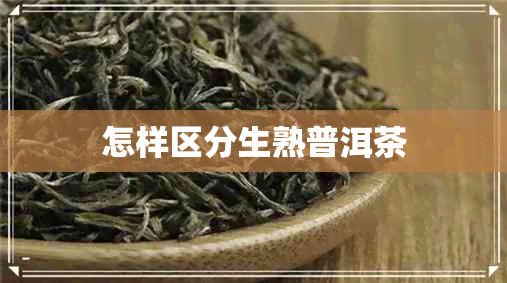 怎样区分生熟普洱茶