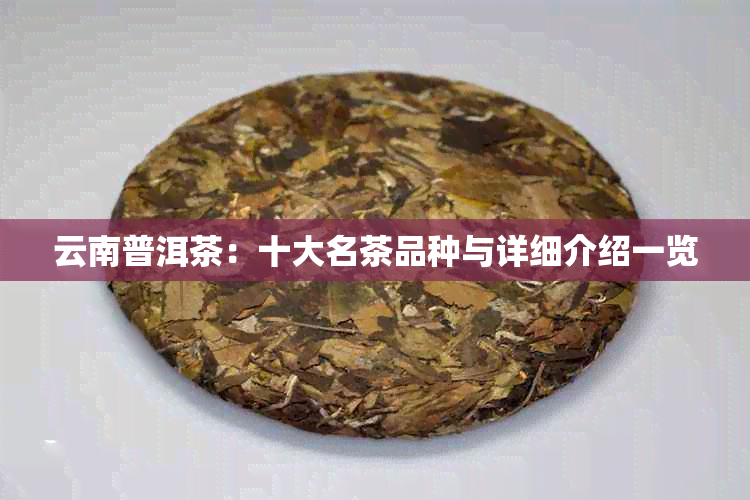 云南普洱茶：十大名茶品种与详细介绍一览