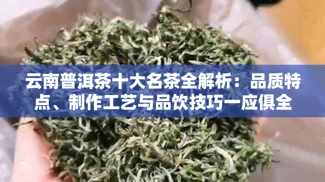 云南普洱茶十大名茶全解析：品质特点、制作工艺与品饮技巧一应俱全