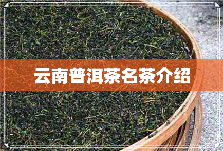 云南普洱茶名茶介绍