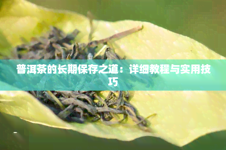 普洱茶的长期保存之道：详细教程与实用技巧