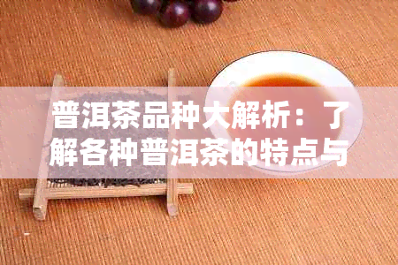 普洱茶品种大解析：了解各种普洱茶的特点与区别