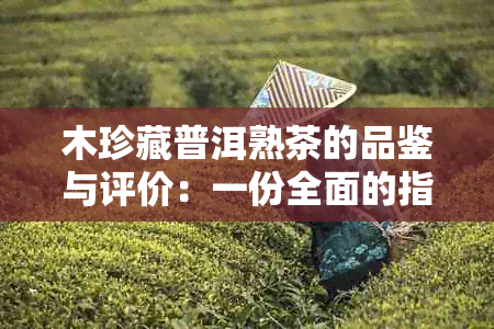 木珍藏普洱熟茶的品鉴与评价：一份全面的指南