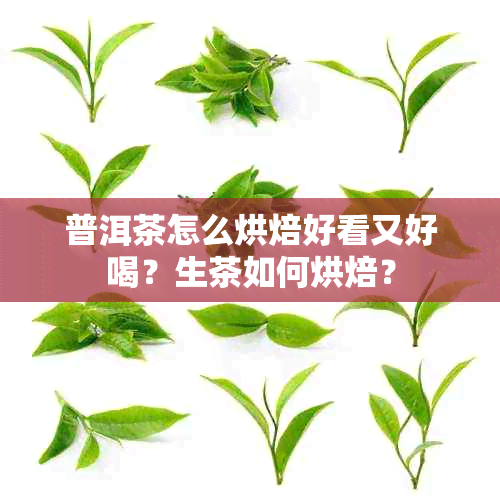 普洱茶怎么烘焙好看又好喝？生茶如何烘焙？