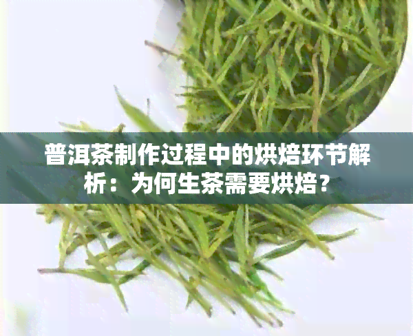 普洱茶制作过程中的烘焙环节解析：为何生茶需要烘焙？