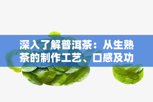 深入了解普洱茶：从生熟茶的制作工艺、口感及功效对比，轻松识别真假与好坏