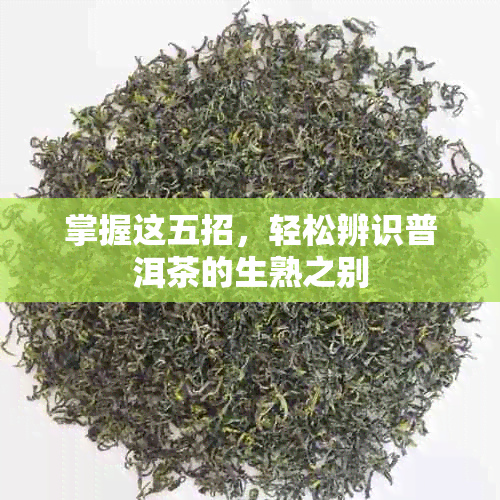 掌握这五招，轻松辨识普洱茶的生熟之别