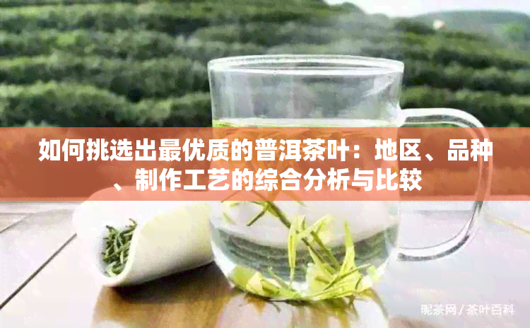 如何挑选出更优质的普洱茶叶：地区、品种、制作工艺的综合分析与比较