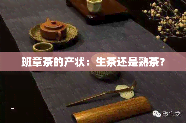 班章茶的产状：生茶还是熟茶？