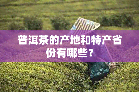 普洱茶的产地和特产省份有哪些？