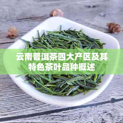 云南普洱茶四大产区及其特色茶叶品种概述