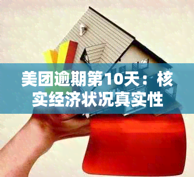 美团逾期第10天：核实经济状况真实性？可能的原因及解决方法大揭秘！