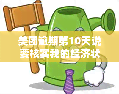 美团逾期第10天说要核实我的经济状况