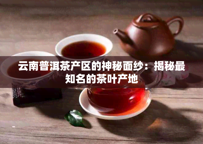 云南普洱茶产区的神秘面纱：揭秘最知名的茶叶产地