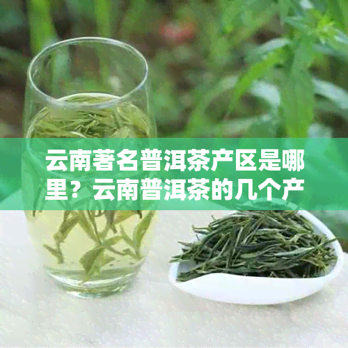 云南著名普洱茶产区是哪里？云南普洱茶的几个产地哪里口感好？