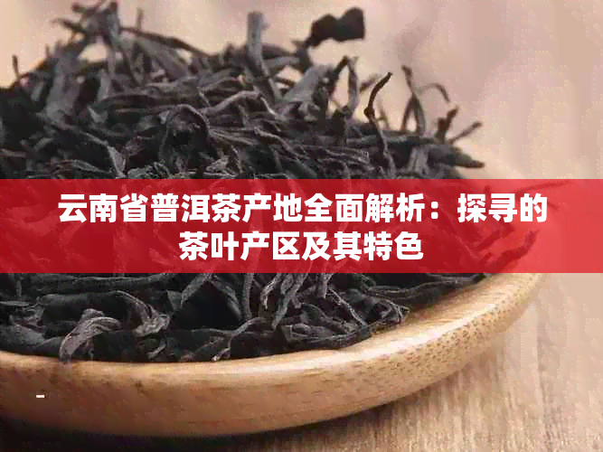 云南省普洱茶产地全面解析：探寻的茶叶产区及其特色