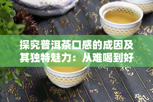 探究普洱茶口感的成因及其独特魅力：从难喝到好喝的秘密