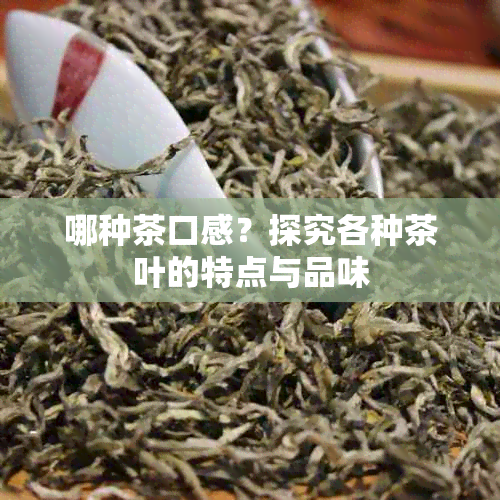 哪种茶口感？探究各种茶叶的特点与品味