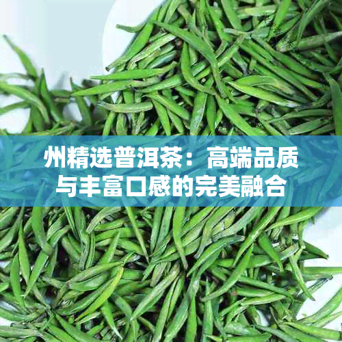 州精选普洱茶：高端品质与丰富口感的完美融合