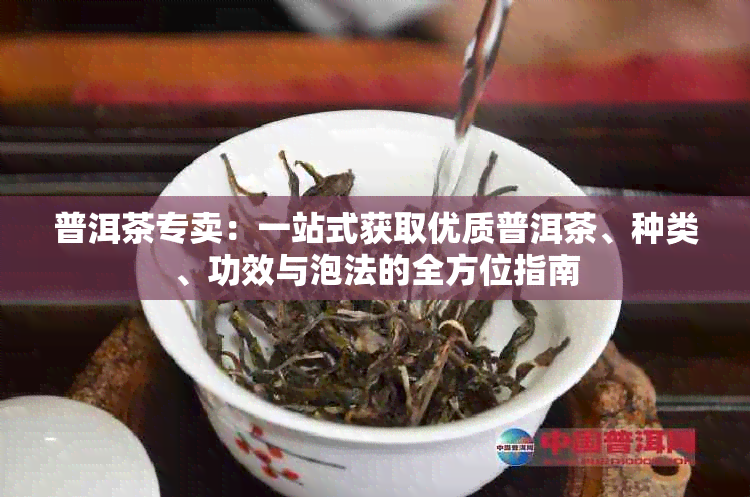 普洱茶专卖：一站式获取优质普洱茶、种类、功效与泡法的全方位指南