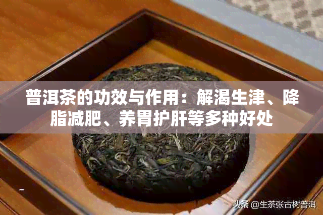 普洱茶的功效与作用：解渴生津、降脂减肥、养胃护肝等多种好处