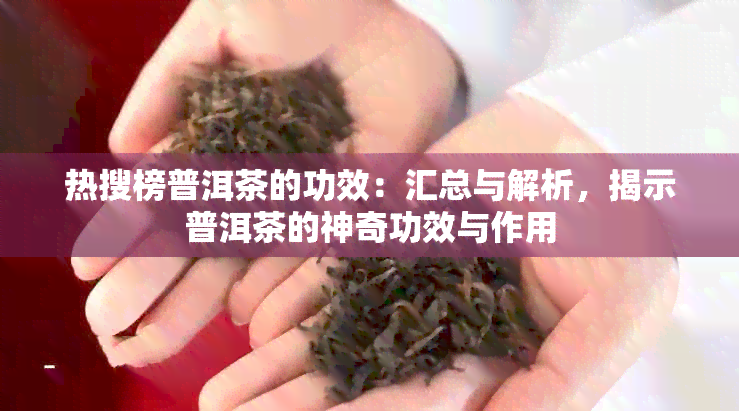 热搜榜普洱茶的功效：汇总与解析，揭示普洱茶的神奇功效与作用