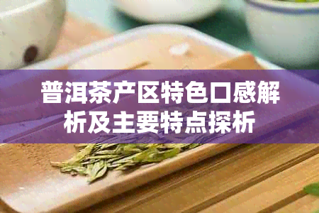 普洱茶产区特色口感解析及主要特点探析