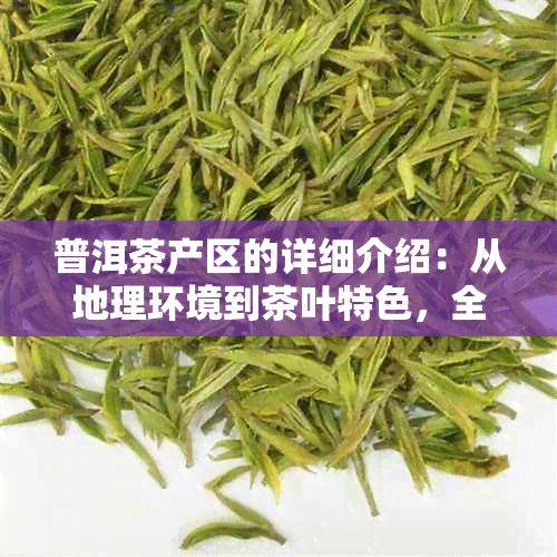 普洱茶产区的详细介绍：从地理环境到茶叶特色，全面了解普洱茶的主要产地