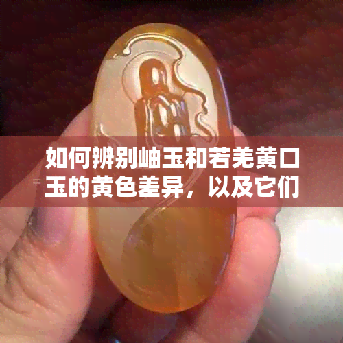 如何辨别岫玉和若羌黄口玉的黄色差异，以及它们与翡翠、黄玉和和田玉的区别