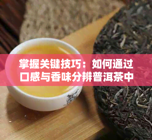 掌握关键技巧：如何通过口感与香味分辨普洱茶中的农残留问题