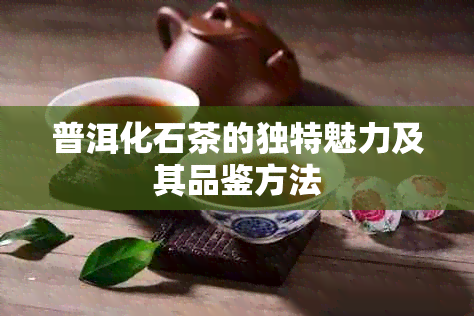 普洱化石茶的独特魅力及其品鉴方法