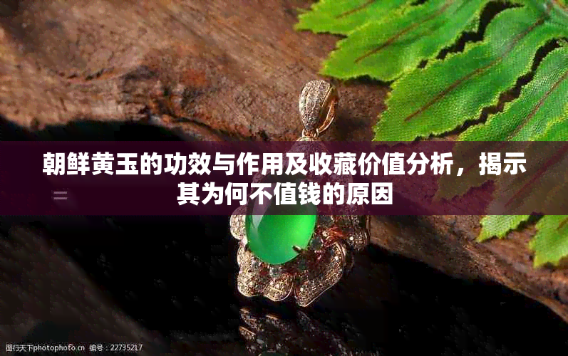 朝鲜黄玉的功效与作用及收藏价值分析，揭示其为何不值钱的原因