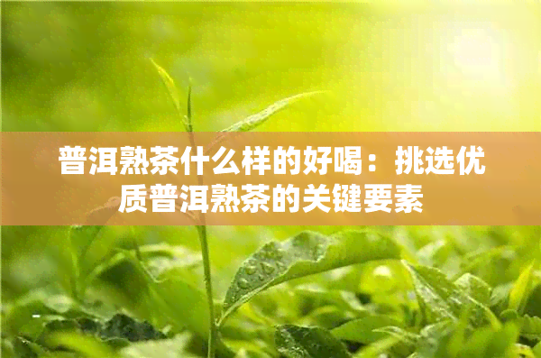 普洱熟茶什么样的好喝：挑选优质普洱熟茶的关键要素