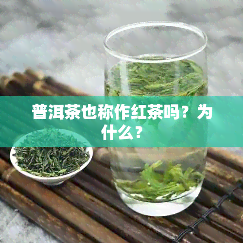 普洱茶也称作红茶吗？为什么？