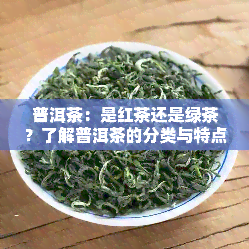 普洱茶：是红茶还是绿茶？了解普洱茶的分类与特点