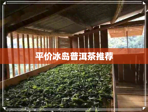 平价冰岛普洱茶推荐