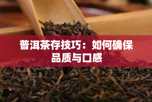 普洱茶存技巧：如何确保品质与口感