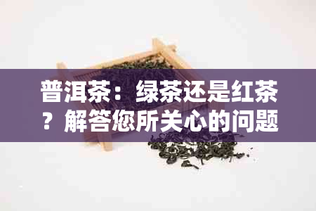 普洱茶：绿茶还是红茶？解答您所关心的问题