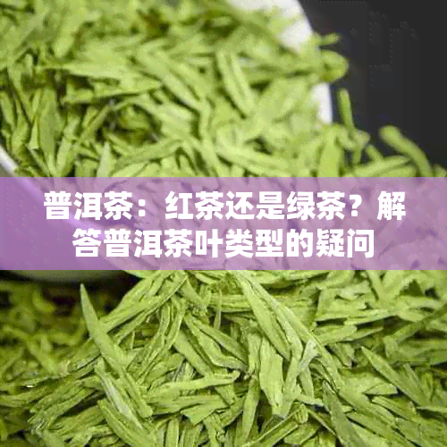 普洱茶：红茶还是绿茶？解答普洱茶叶类型的疑问