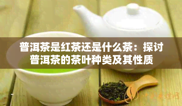 普洱茶是红茶还是什么茶：探讨普洱茶的茶叶种类及其性质