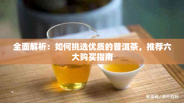 全面解析：如何挑选优质的普洱茶，推荐六大购买指南