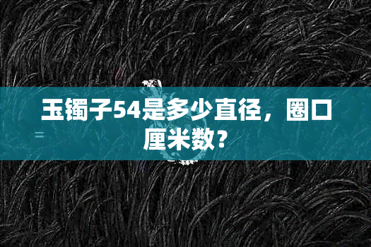 玉镯子54是多少直径，圈口厘米数？