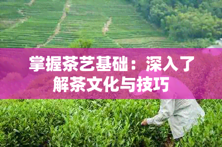 掌握茶艺基础：深入了解茶文化与技巧