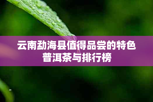 云南勐海县值得品尝的特色普洱茶与排行榜