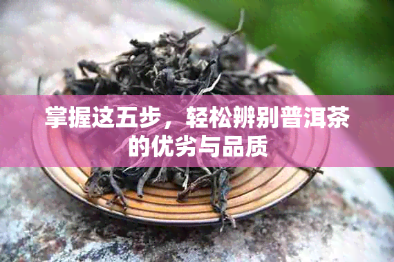 掌握这五步，轻松辨别普洱茶的优劣与品质